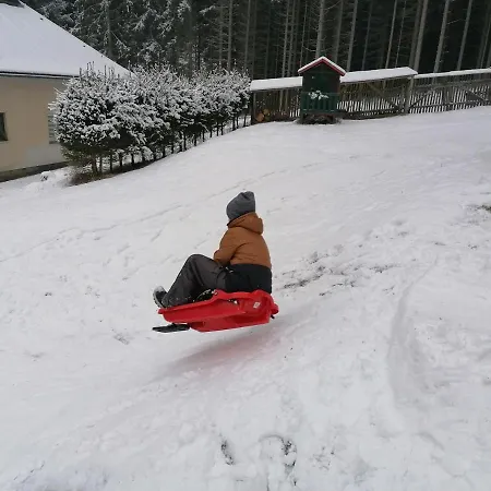 Am Wald * Bad Elster