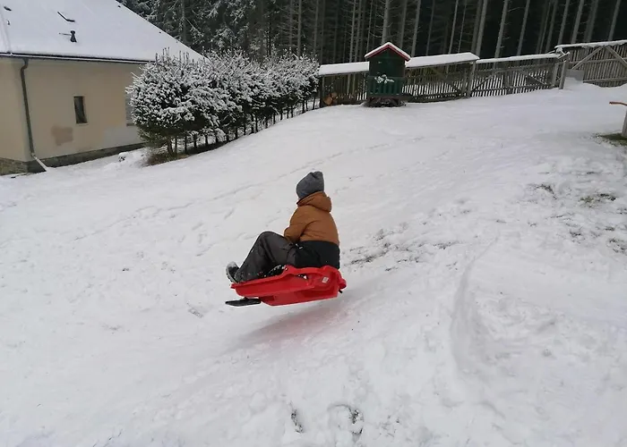 Am Wald * Bad Elster